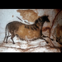 Lascaux, Cheval (Magdalenien)